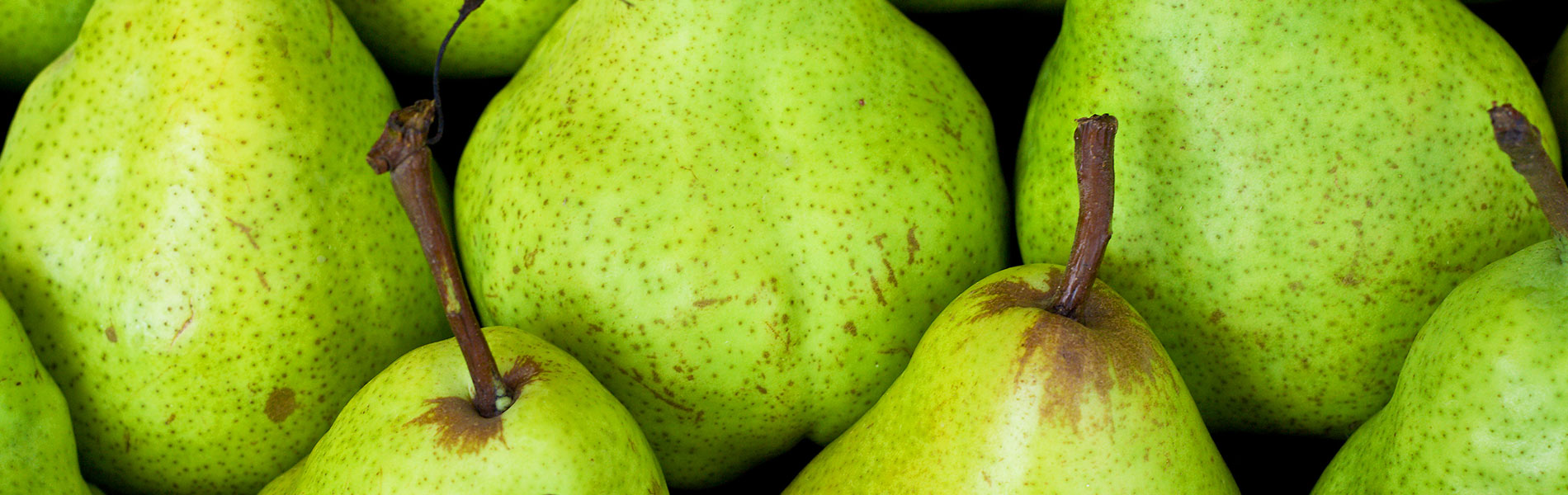 Pears