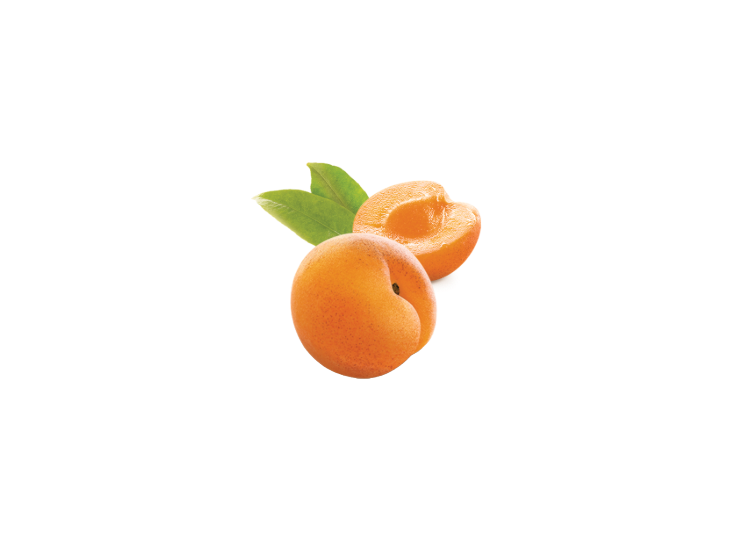 apricot decorative