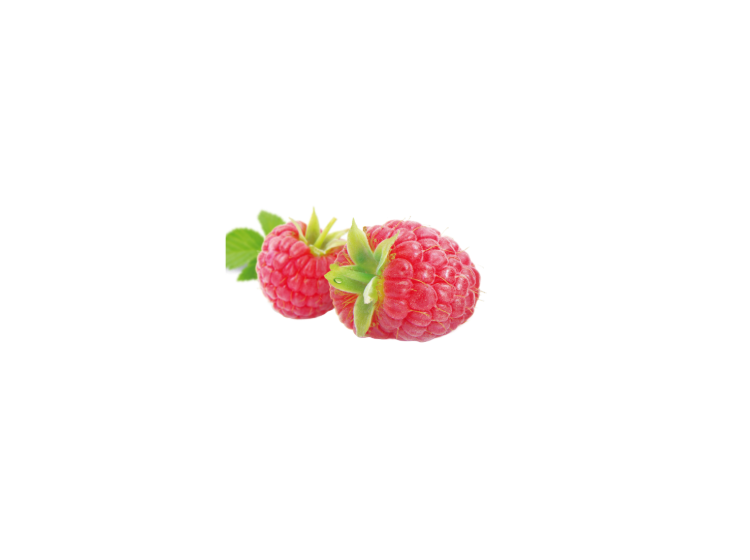 decoration raspberry