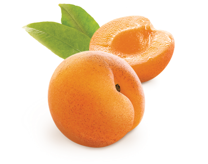 apricot separator