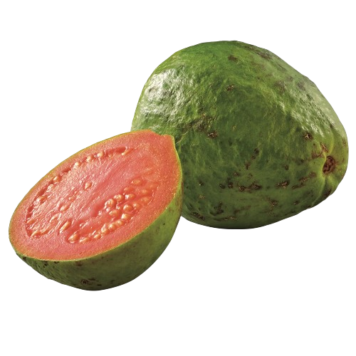guava separador